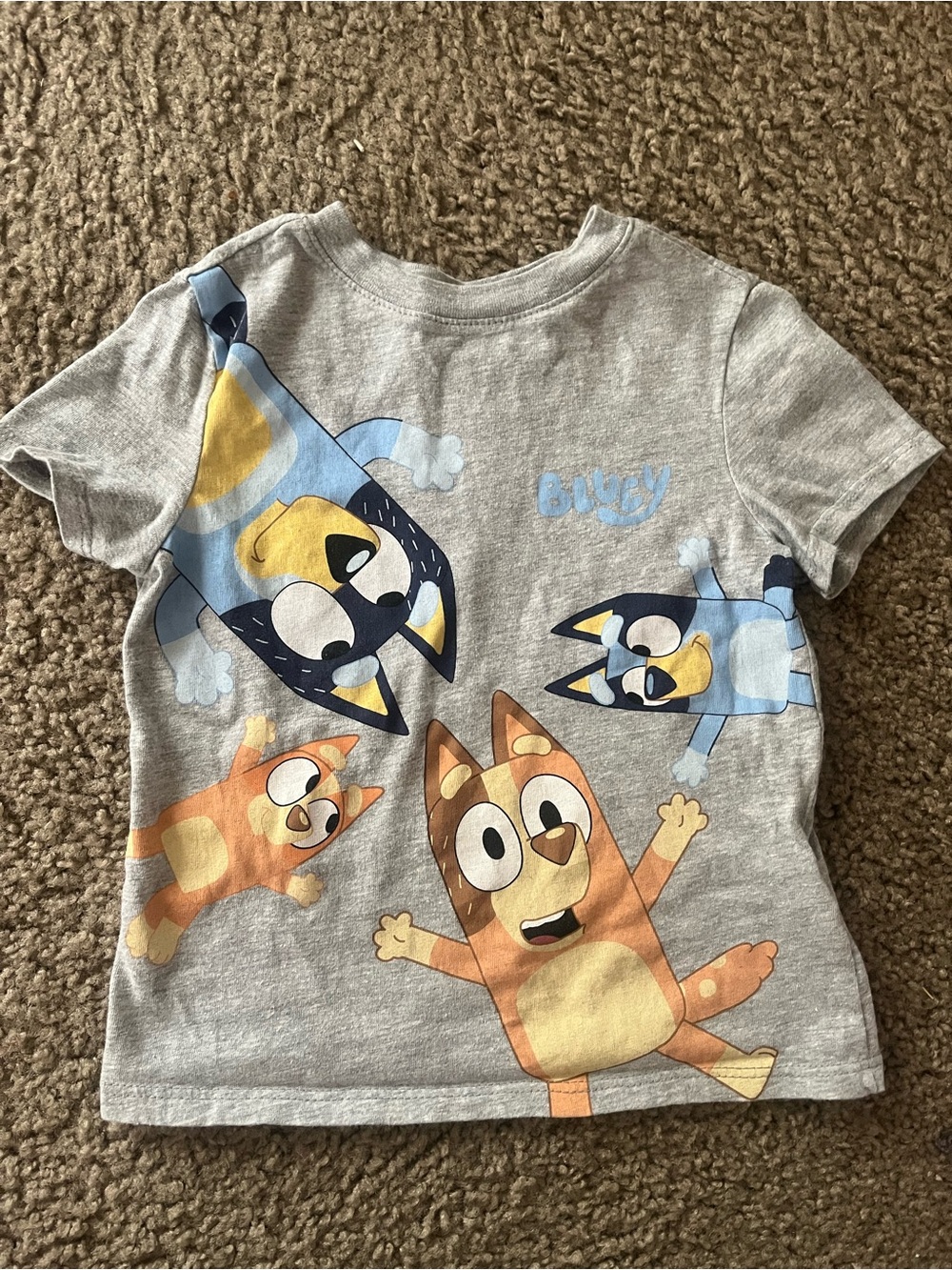 Grey Kids Graphic Tee- Bluey and family size 3T